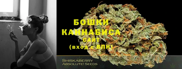 бошки Нея